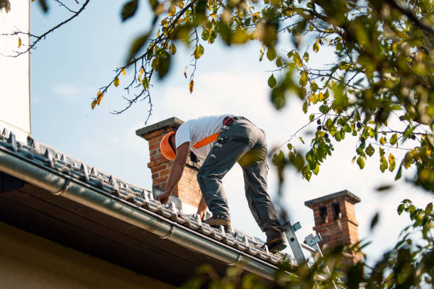 Best Storm Damage Roof Repair  in Woodlawn, VA