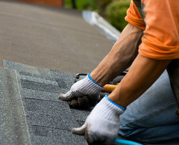 Best Roof Gutter Cleaning  in Woodlawn, VA